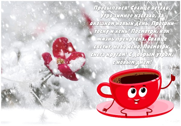 Открытки